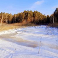 Замёрзшее болото . :: Мила Бовкун