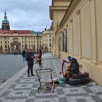 старый музыкант :: Светлана Баталий