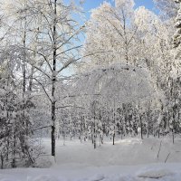 Снежный купол :: Стальбаум Юрий 