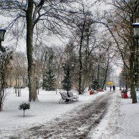 Зимний парк :: Роман Савоцкий