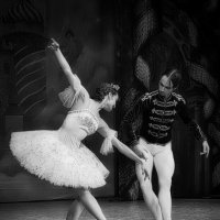 Бале,балет,балет. :: Владимир Батурин