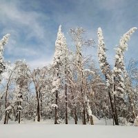 Зима в Алдане :: Лидия 