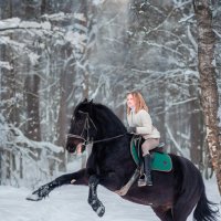 Юная всадница в зимнем лесу :: Ekaterina 