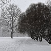 зима в Петровское-Разумовское :: Тарас Золотько