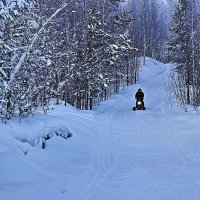 Январь...На  снегоходе в тайге! :: Владимир 