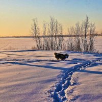 Январь...Бег морозным утром по берегу реки! :: Владимир 