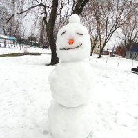 Грустная улыбка снеговика :: MarinaKiseleva 