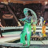 Цирковое представление :: Андрей Хлопонин