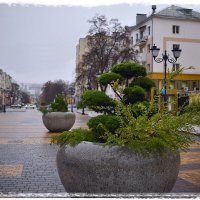 На Белгородском „Арбате" :: Сеня Белгородский