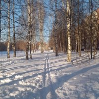 Зимний день :: Galina Solovova