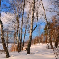 Мгновения зимы :: владимир тимошенко 