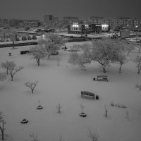 Зима в городе :: Анатолий Чикчирный