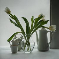С белыми тюльпанами... :: Liliya 