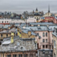 Питерские крыши. :: Александр Максимов