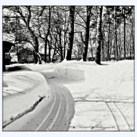 чистый снег в Бережках :: Любовь 