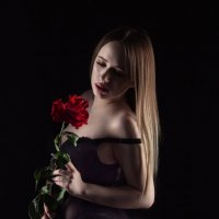 Роза красная :: Николай Чекалин