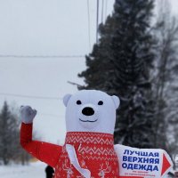 Белый медведь. :: Радмир Арсеньев