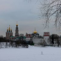 Новодевичий монастырь :: Дмитрий И_