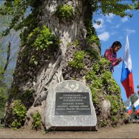 Волгоград. Знаменитый тополь. :: Юрий ГУКОВЪ