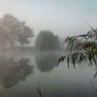 Утро в тумане :: Николай Гирш