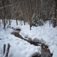 Ручей в зимнем лесу :: Валерий Вождаев