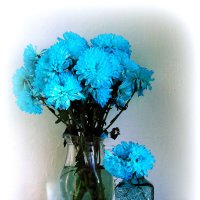 Голубые хризантемы. :: nadyasilyuk Вознюк