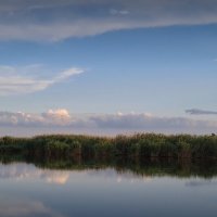 Берег реки Малёвана :: Валерий Ткаченко
