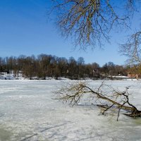 Весна на Смоленщине (репортаж из поездок по области). :: Милешкин Владимир Алексеевич 