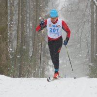 Про лыжные гонки :: Евгений Седов