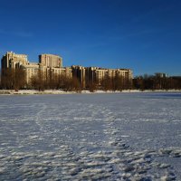 Март на Серебряно-Виноградном пруду :: Андрей Лукьянов