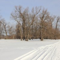Дорогу снегоходу! :: Евгений Корьевщиков