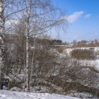 Палитра марта... :: Владимир Жданов