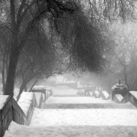 Туманный парк. :: Клим Павлов
