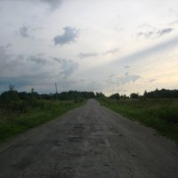 Дорога от Скново в сторону Белошкино :: Артем 