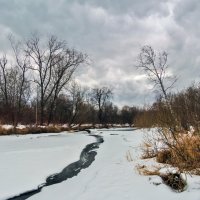 Хмурый день марта :: Алексей Мезенцев