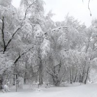 Зимний пейзаж! :: жанна нечаева