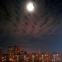 Луна над Москвой :: Ольга Довженко