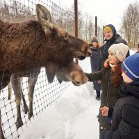 Сафари парк :: Юрий Шувалов