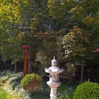 ТАШКЕНТ, Японский сад. :: Виктор Осипчук