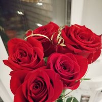 Очень люблю розы :: Юлия 