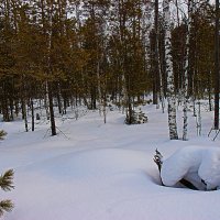 Март...Весенний этюд! :: Владимир 