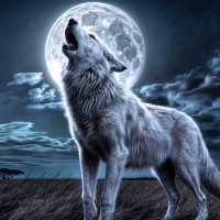 Волк воющий на луну :: Анатолий Клепешнёв
