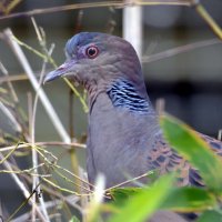 Мир Природы "The Natural World" - Весеннее пробуждение... :: "The Natural World" Александер