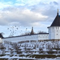 Древние стены Высоцкого монастыря. :: Александра Климина