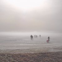 Финский залив, лёд, туман, +18 градусов ! :: Лия ☼