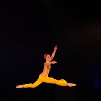 Прыжок балерины :: Николай Чекалин