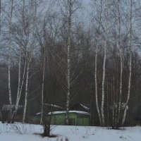 Домик в утреннем снежном лесу :: Александр Рыжов