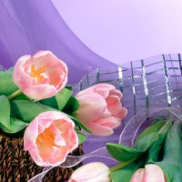 Тюльпаны на лиловом фоне :: Ольга Бекетова