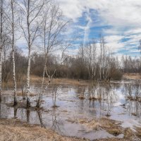 Весенние воды... :: Владимир Жданов