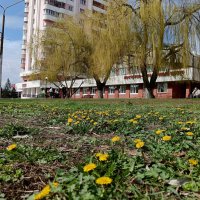 Весна приходит в город :: Геннадий Худолеев Худолеев